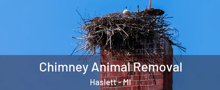  Chimney Animal Removal Haslett - MI