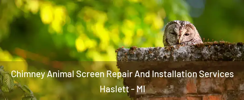  Chimney Animal Screen Repair And Installation Services Haslett - MI