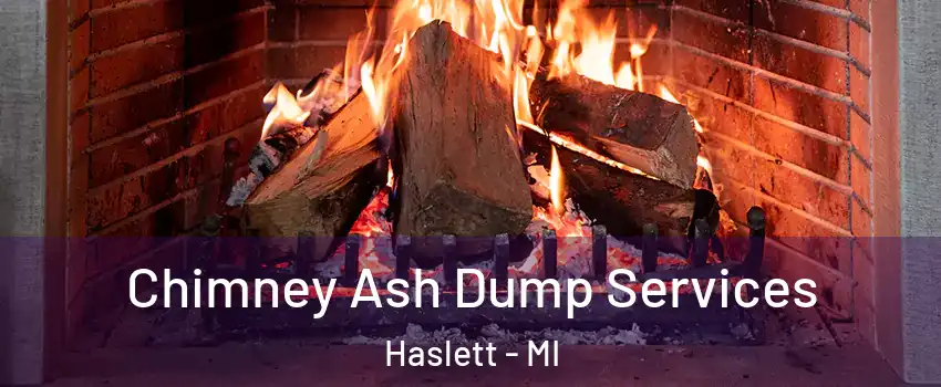  Chimney Ash Dump Services Haslett - MI
