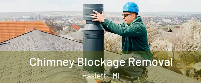  Chimney Blockage Removal Haslett - MI