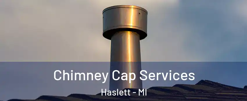  Chimney Cap Services Haslett - MI