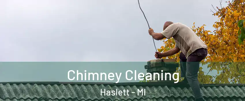  Chimney Cleaning Haslett - MI