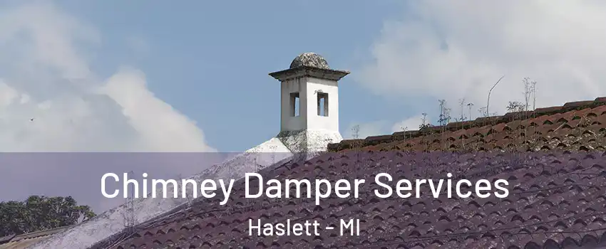  Chimney Damper Services Haslett - MI