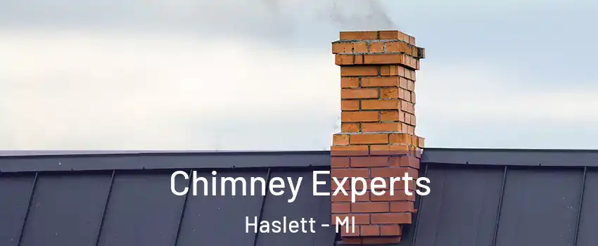  Chimney Experts Haslett - MI