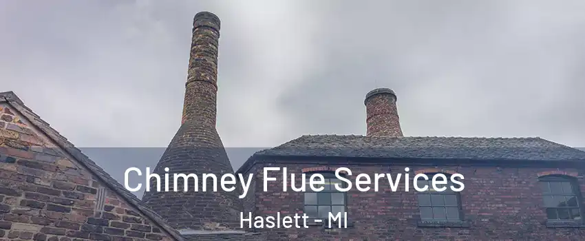  Chimney Flue Services Haslett - MI