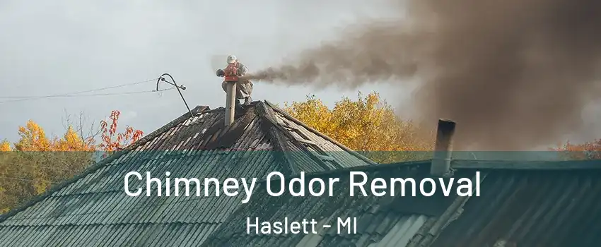  Chimney Odor Removal Haslett - MI