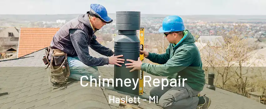  Chimney Repair Haslett - MI