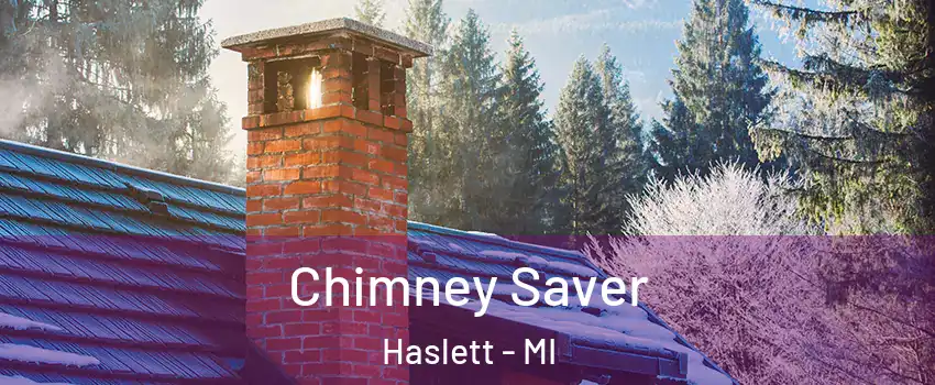  Chimney Saver Haslett - MI