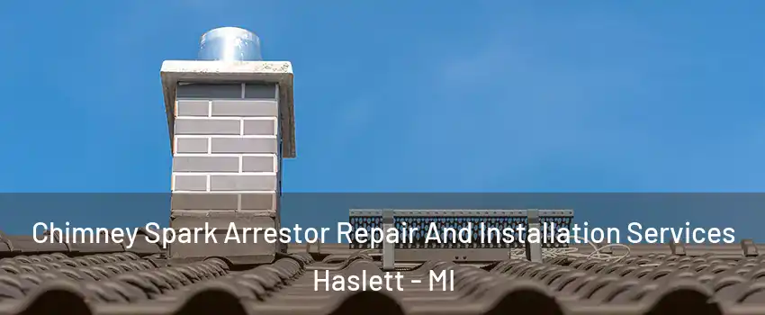  Chimney Spark Arrestor Repair And Installation Services Haslett - MI