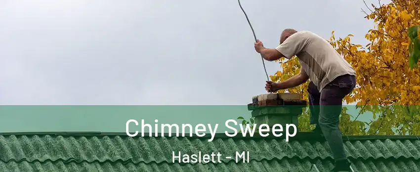  Chimney Sweep Haslett - MI