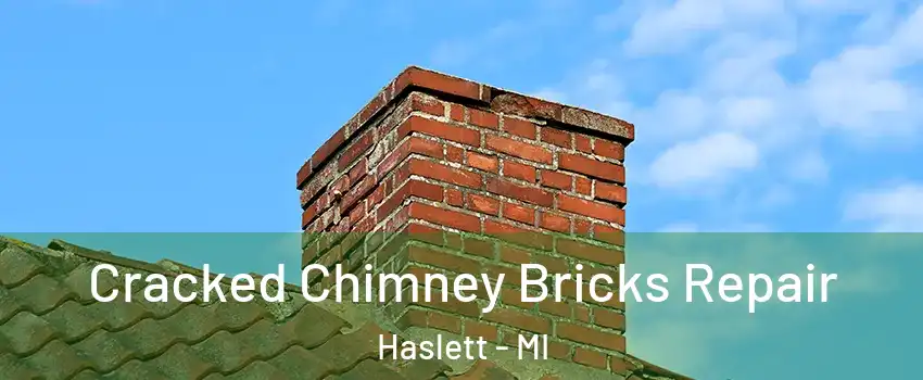  Cracked Chimney Bricks Repair Haslett - MI