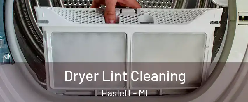  Dryer Lint Cleaning Haslett - MI