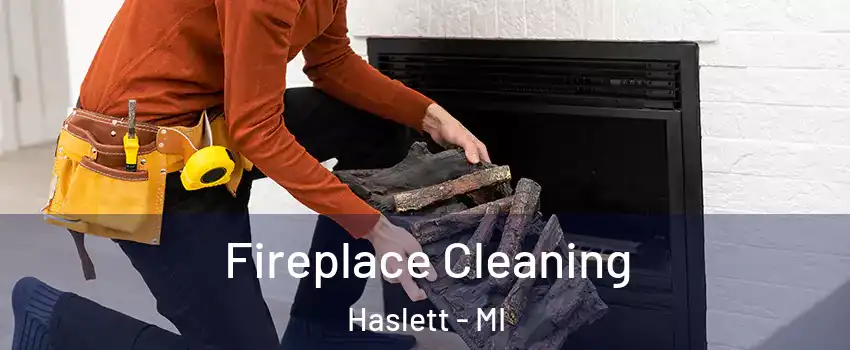  Fireplace Cleaning Haslett - MI