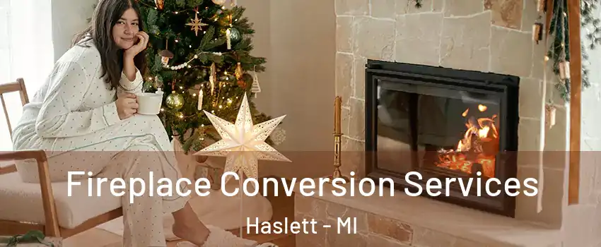  Fireplace Conversion Services Haslett - MI