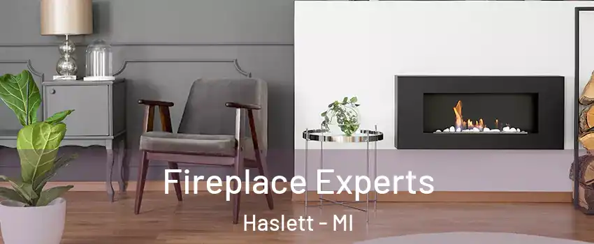  Fireplace Experts Haslett - MI