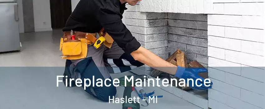  Fireplace Maintenance Haslett - MI
