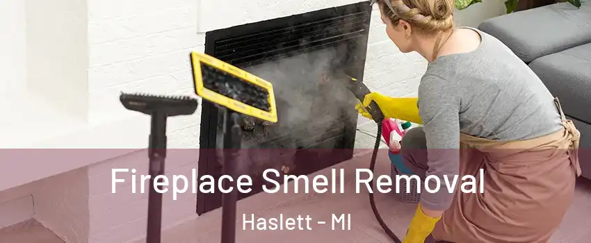 Fireplace Smell Removal Haslett - MI