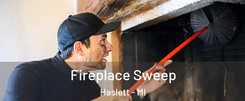  Fireplace Sweep Haslett - MI