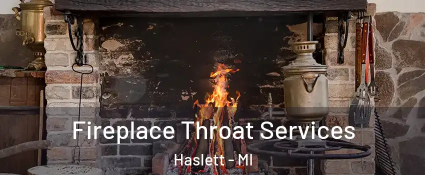  Fireplace Throat Services Haslett - MI