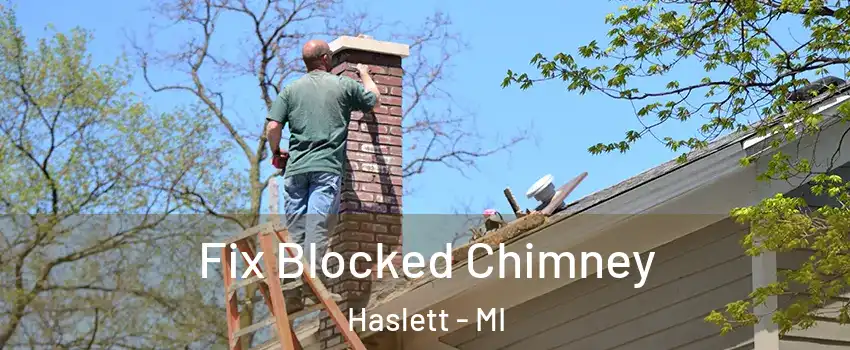  Fix Blocked Chimney Haslett - MI