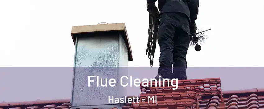  Flue Cleaning Haslett - MI