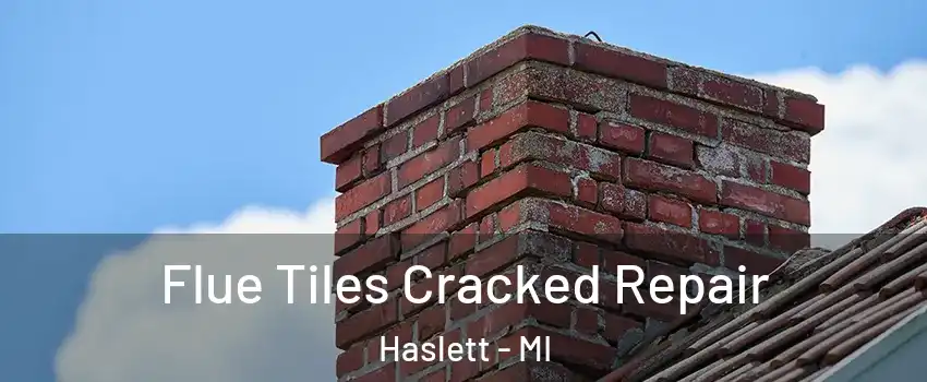  Flue Tiles Cracked Repair Haslett - MI