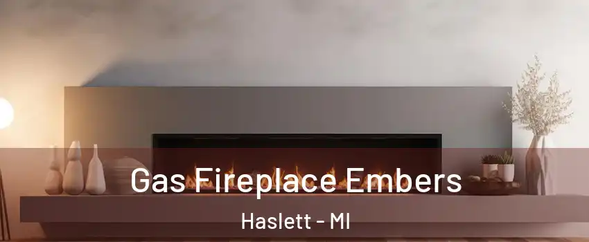  Gas Fireplace Embers Haslett - MI