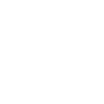 Professional Chimney Flue Installation in Haslett, Michigan
