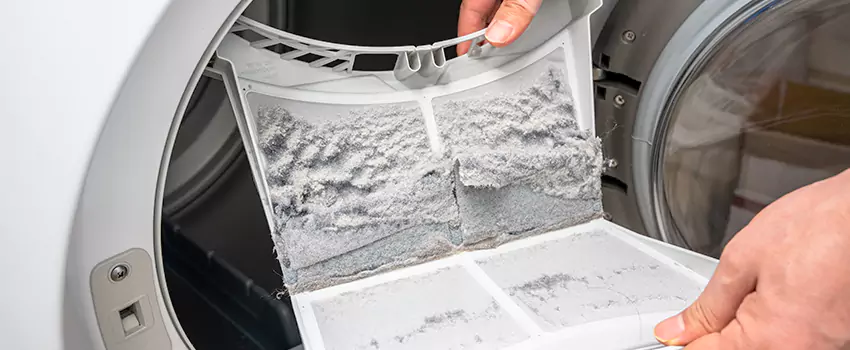 Best Dryer Lint Removal Company in Haslett, Michigan