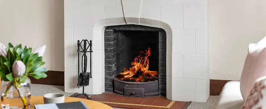 Valor Fireplaces and Stove Repair in Haslett, MI