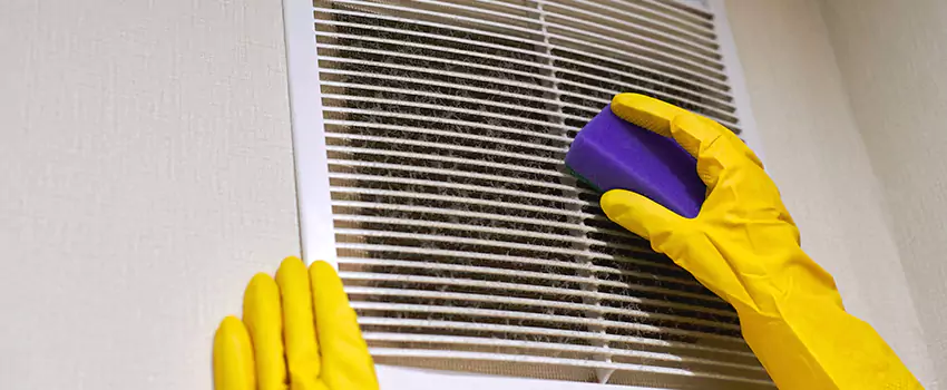 Vent Cleaning Company in Haslett, MI