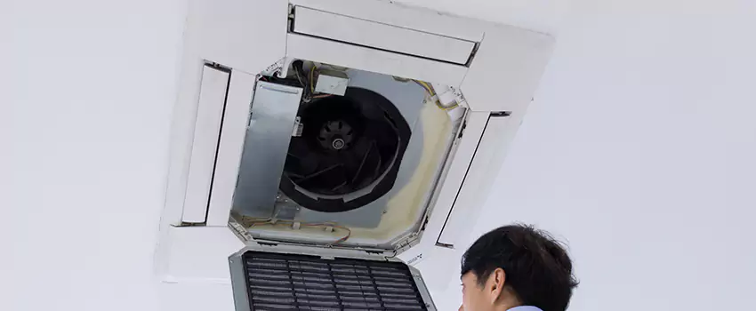 Benefits of Professional Air Duct Cleaning in Haslett, Michigan