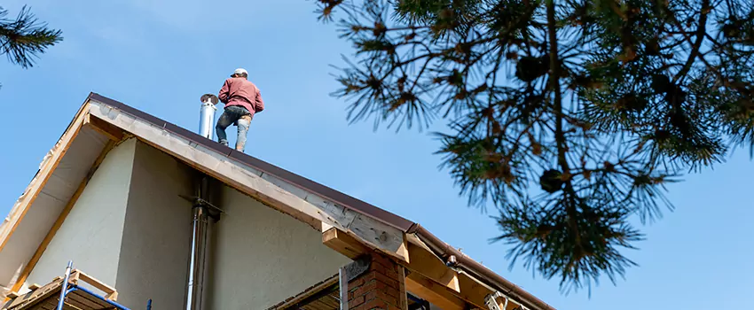 Birds Removal Contractors from Chimney in Haslett, MI