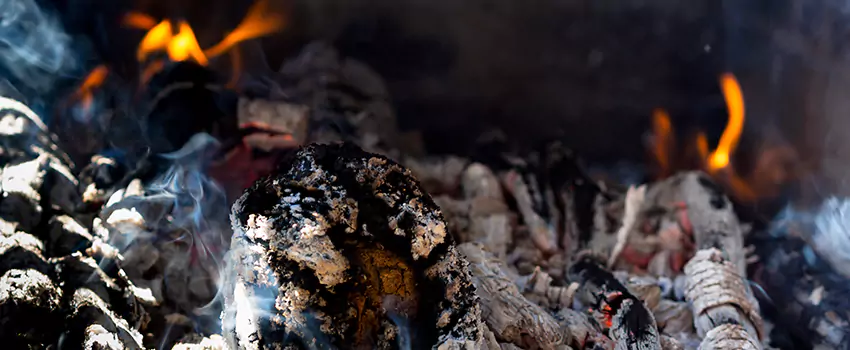 Creosote Removal Experts in Haslett, MI