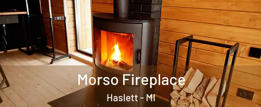  Morso Fireplace Haslett - MI