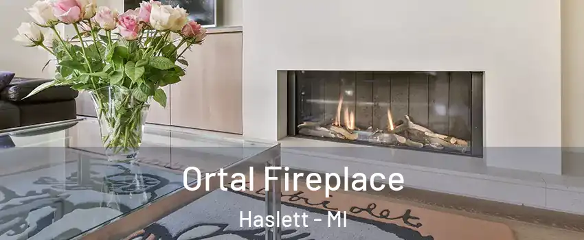  Ortal Fireplace Haslett - MI