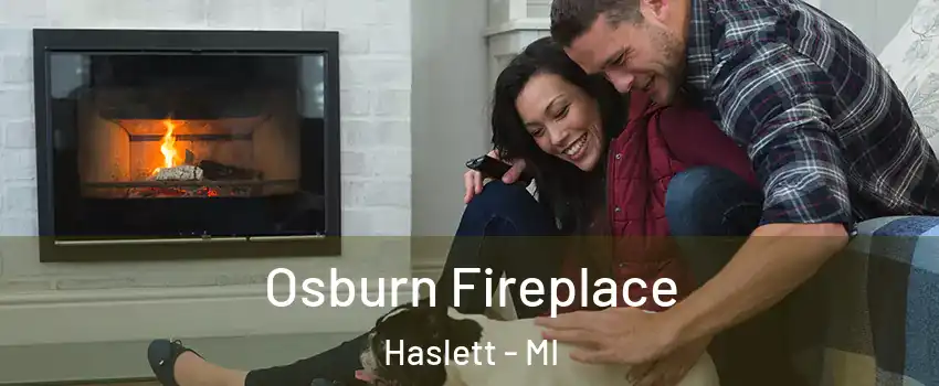  Osburn Fireplace Haslett - MI