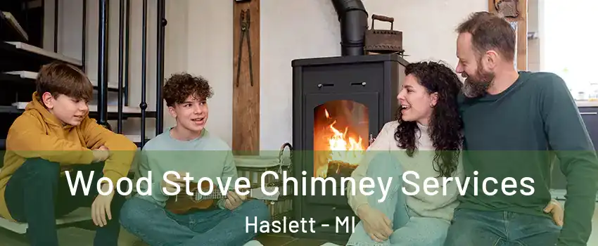  Wood Stove Chimney Services Haslett - MI
